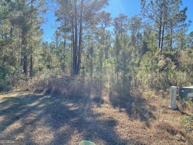 0 Landing Trail, Waynesville, GA 31566 - photo 7