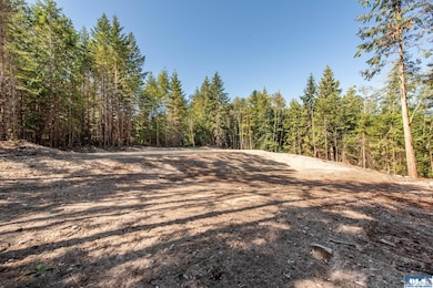 Lot 1 Sunny Dell Ln, Sequim, WA 98382 - photo 3