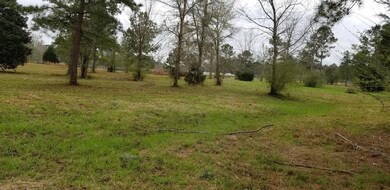 000 Georgia Highway 32, Dawson, GA 39842 - photo 5