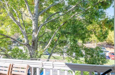 765 Denali Way unit 203, Charlottesville, VA 22903 - photo 2