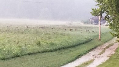 Lot 3 E Sylvania Rd, Bloomfield, IN 47424 - photo 5