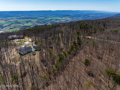 0 Gray Rock View unit 1297681, Pikeville, TN 37367 - photo 4