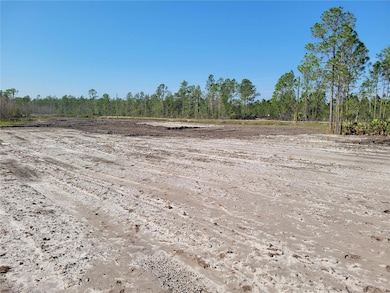 1001 Omega Ranch Rd, New Smyrna Beach, FL 32168 - photo 2
