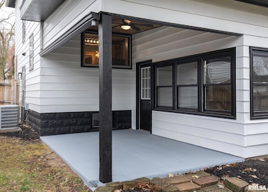 213 N Williams St, Geneseo, IL 61254 - photo 4