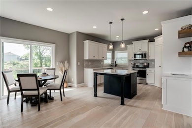 18795 W 169th St, Olathe, KS 66062 - photo 6