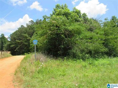 0 County Road 329 unit 8.41 1289420, Wedowee, AL 36278 - photo 7