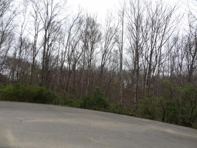 0 Eugene Ct unit RTC2939741, Crossville, TN 38555 - photo 3