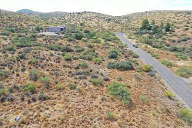 DJI_0344