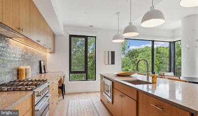 10511 Strathmore Hall St unit 2B-3B-626, North Bethesda, MD 20852 - photo 5