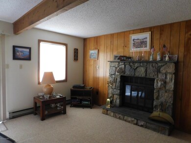 LIVING RM FIREPLACE