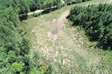 0 W Kalama River Rd unit NWM2402481, Kalama, WA 98625 - photo 5