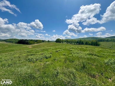 0 Horne Hollow Rd Tract B, Sugar Grove, VA 24375 - photo 5