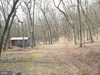 37 ACS Greenwalt Gap, Upper Tract, WV 26866 - photo 3