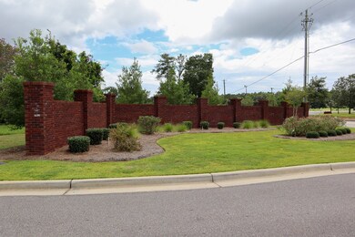 209 Rylee Rd, Dothan, AL 36305 - photo 4