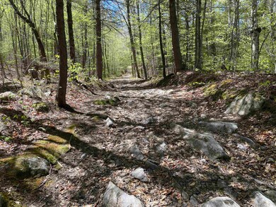 Map 248 lot 001 Hunt Rd E, Plymouth, NH 03264 - photo 4