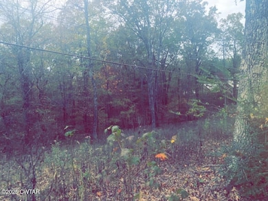 0 Natchez Trace Dr, Lexington, TN 38351 - photo 6