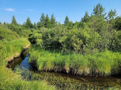 32738 Us 71, Menahga, MN 56464 - photo 5