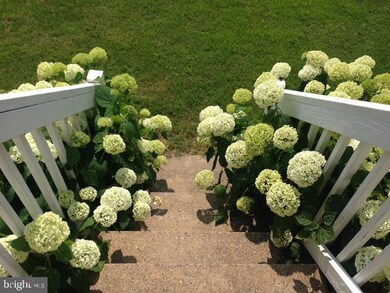 6464 John Barton Payne Rd, Marshall, VA 20115 - photo 3