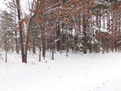 E4034 Steven Way, Spring Green, WI 53588 - photo 6