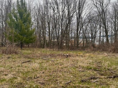 VL E 2nd St, Scottville, MI 49454 - photo 5