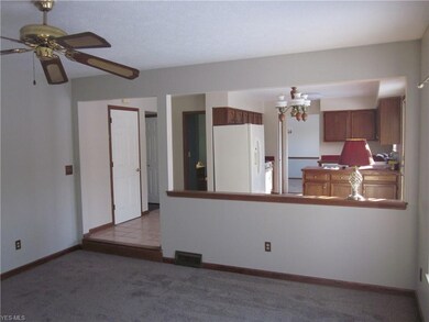 9688 Grist Mill Run, Olmsted Falls, OH 44138 - photo 5