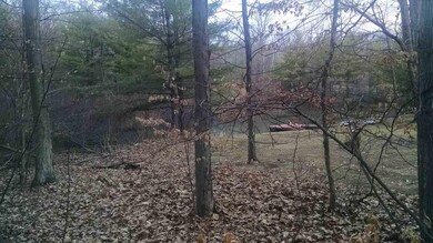 56 Famous Author Cir, Athens, NY 12015 - photo 5