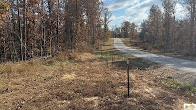 527 Chestnut Grove Cemetery Rd, Bonnieville, KY 42713 - photo 2