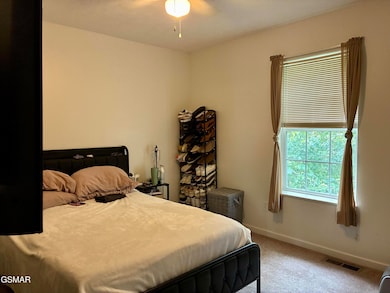 151 Red Bud Ln, Sevierville, TN 37876 - photo 7