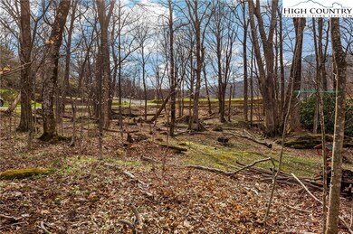 19 Shanty Springs Rd unit 1, Banner Elk, NC 28604 - photo 4