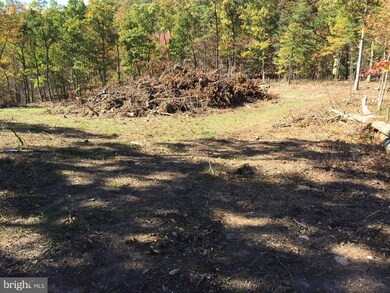 0 Hershel Ln unit 1000563629, Hedgesville, WV 25427 - photo 4