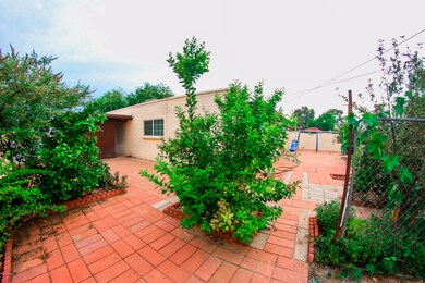 IMG_3698