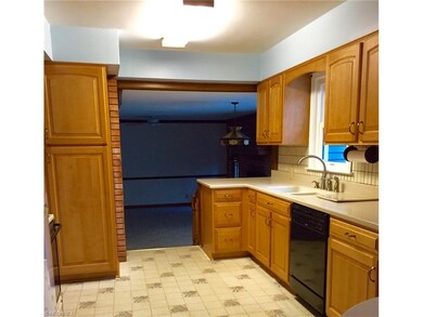 Custom birch Kitchen