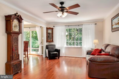 8005 Pyracantha Ct, Springfield, VA 22153 - photo 7