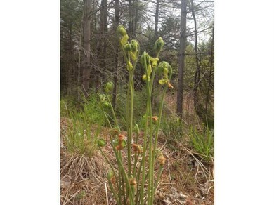 Lot D Engel Ln, Freeport, ME 04032 - photo 6