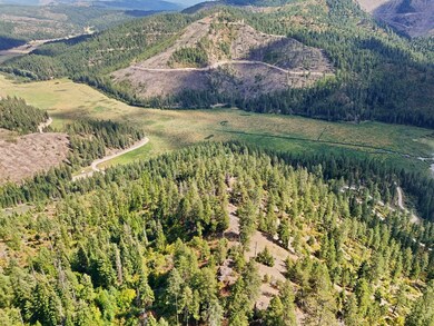 4139 N Deer Lake Rd unit LOT 5, Loon Lake, WA 99148 - photo 5