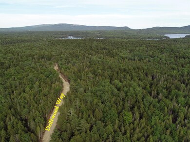 aerial 2, label