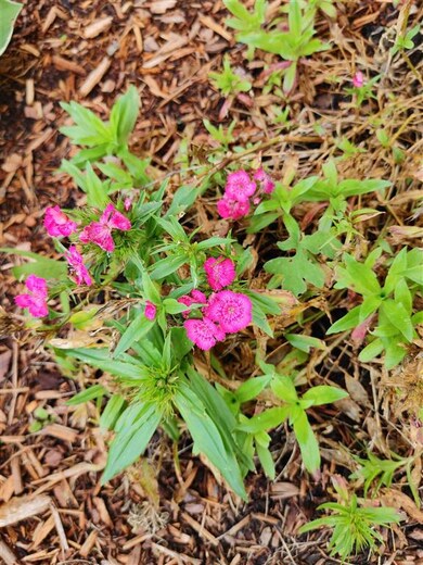 114 Silver Cir, Barre, VT 05641 - photo 5