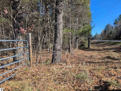 8133 Co Road 612 NE, Kalkaska, MI 49646 - photo 5