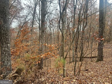 4947 Cash Rd, Flowery Branch, GA 30542 - photo 5