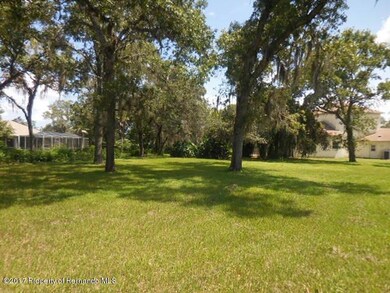 07 Backyard