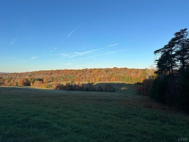 0 McIver Ferry Rd, Gladys, VA 24554 - photo 6