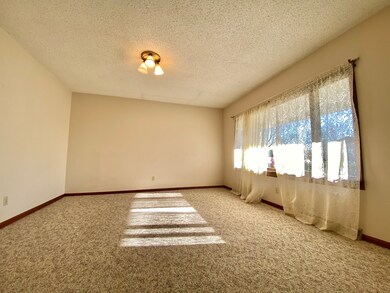 901 Logan St, Chenoa, IL 61726 - photo 4