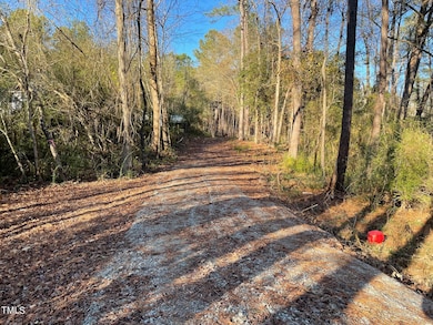 0 Turlington Rd unit 10127617, Dunn, NC 28334 - photo 5