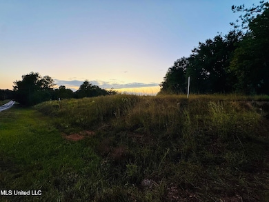 0 Cooks Corner Rd, Lucedale, MS 39452 - photo 4