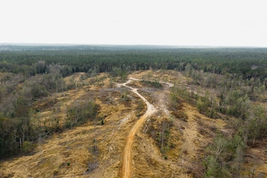 0 Hwy 98 unit 25798787, Beaumont, MS 39476 - photo 2