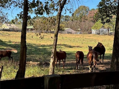 756 Roper Rd, Canton, GA 30115 - photo 5