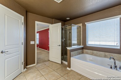 25543 Wentink Ave, San Antonio, TX 78261 - photo 6