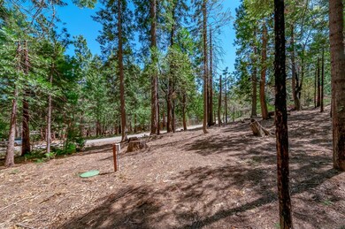 3730 Apache Rd, Dorrington, CA 95223 - photo 5