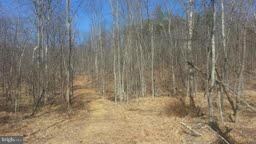 0 Blue Brook Rd unit 1002888482, Berkeley Springs, WV 25411 - photo 5