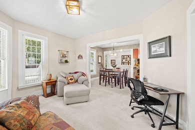 801 N Carver St, Winthrop, MN 55396 - photo 6